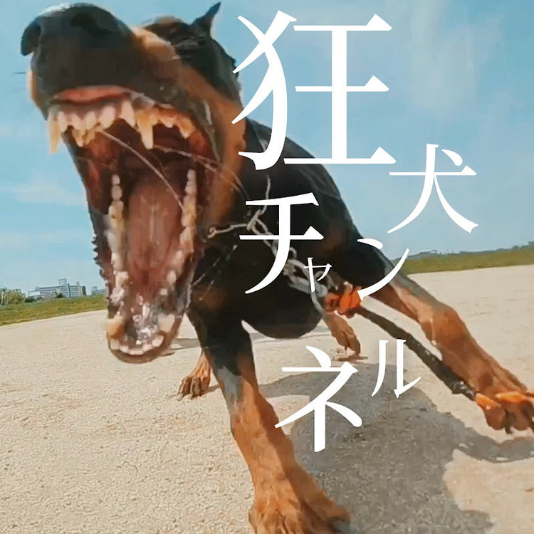 狂犬の正体